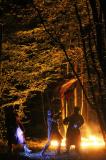 Macbeth en foret 5 * 5184 x 3456 * (9.9MB)